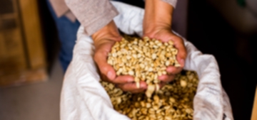 Understanding Fair Trade and Direct Trade Coffee